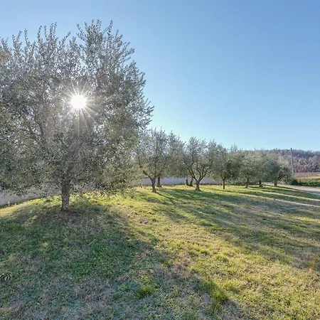 Lavanda Oklen Pensionat Vižinada