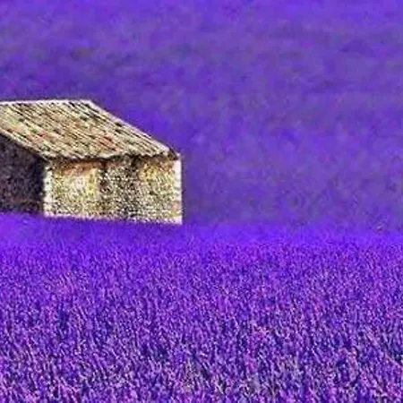 Pensión Lavanda Oklen Vižinada
