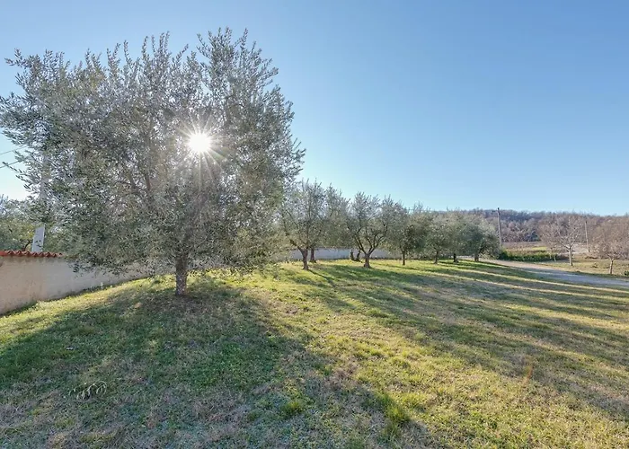 Lavanda Oklen Gostinjska kuća Vizinada