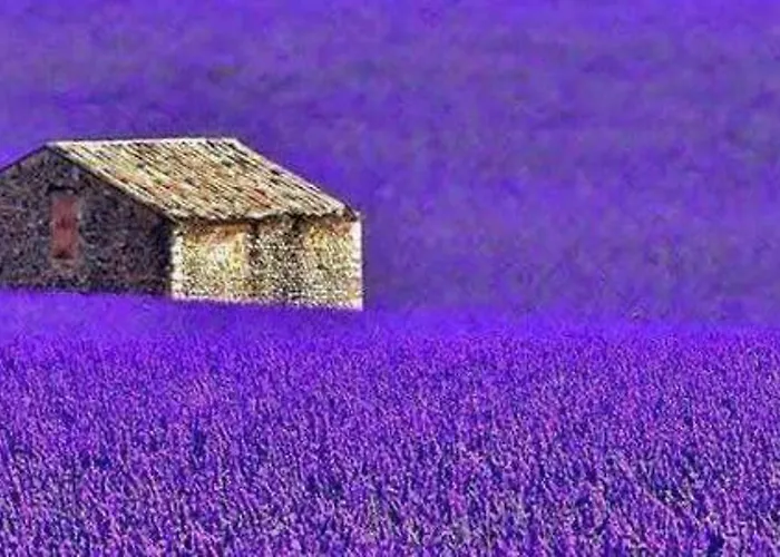Gostinjska kuća Lavanda Oklen Vizinada